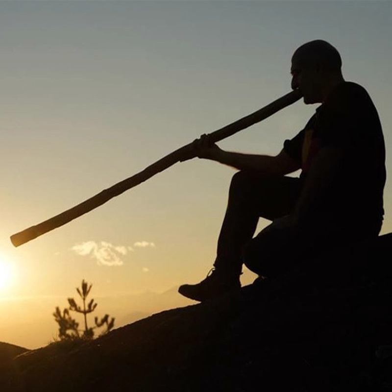 대나무 디지리두 전문 튜닝 디지리두 나무 블로잉 노즐  - Musical Instrument Didgeridoo 리뷰 및 가격