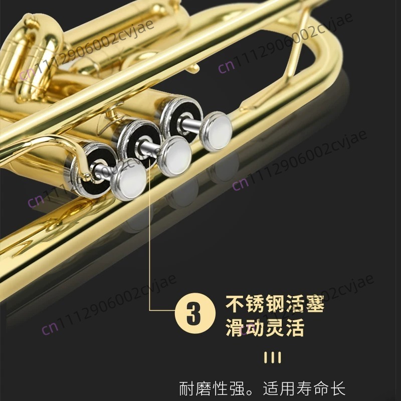 진바오 트럼펫 악기 JBTR-300 B♭ 드럼 트럼펫  - Musical Instrument Drum 리뷰 및 가격