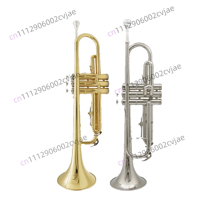 진바오 트럼펫 악기 JBTR-300 B♭ 드럼 트럼펫  - Musical Instrument Drum 리뷰 및 가격