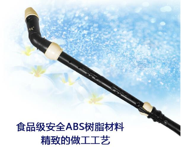 전문 8 홀 바로크베이스 수지 클라리넷 중국어 플루트  - Musical Instrument Recorder 리뷰 및 가격