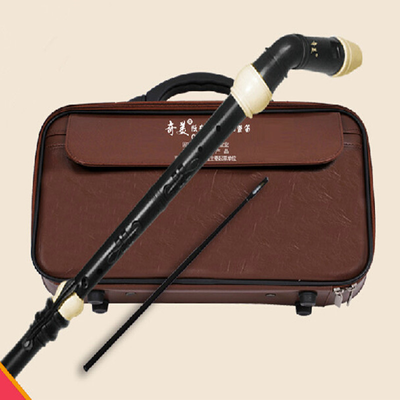전문 8 홀 바로크베이스 수지 클라리넷 중국어 플루트  - Musical Instrument Recorder 리뷰 및 가격