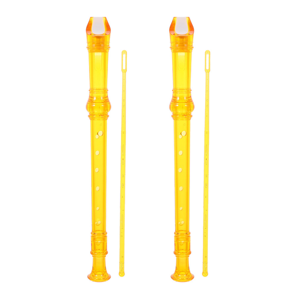 2Pcs 어린이 클라리넷 8 홀 초급 수지 악기 교육용 - Soprano Recorder Plastic 리뷰 및 가격