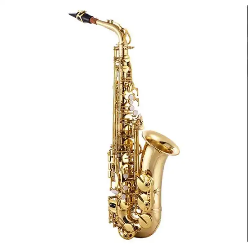 레드 컬러 전문 알토 색소폰 도매 공장 가격 맞춤 황동 - Musical Instrument Logo 리뷰 및 가격
